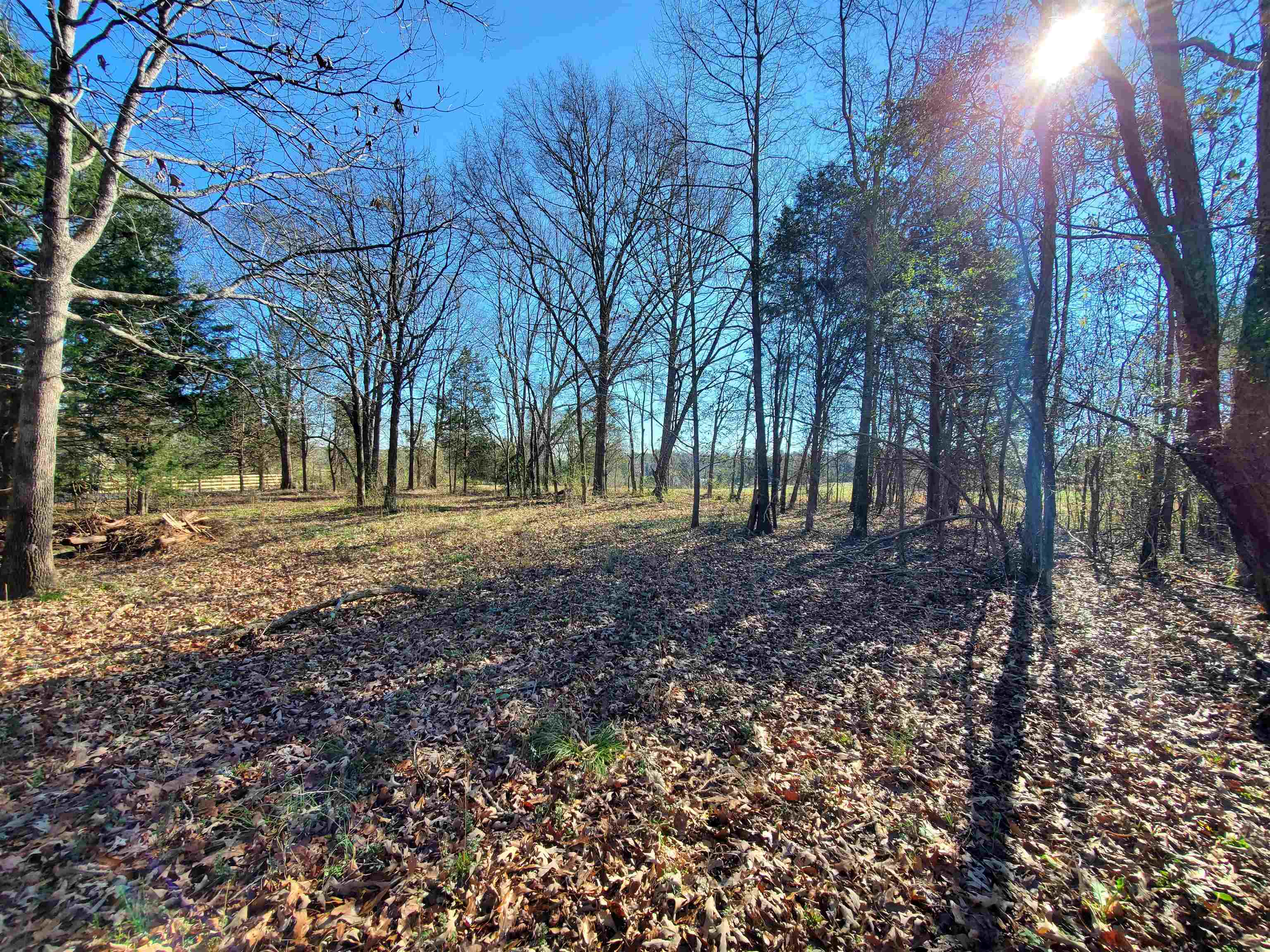 Lot 2 Ritchie Road Fountain Inn, SC 29644 - Photo 18 of 30