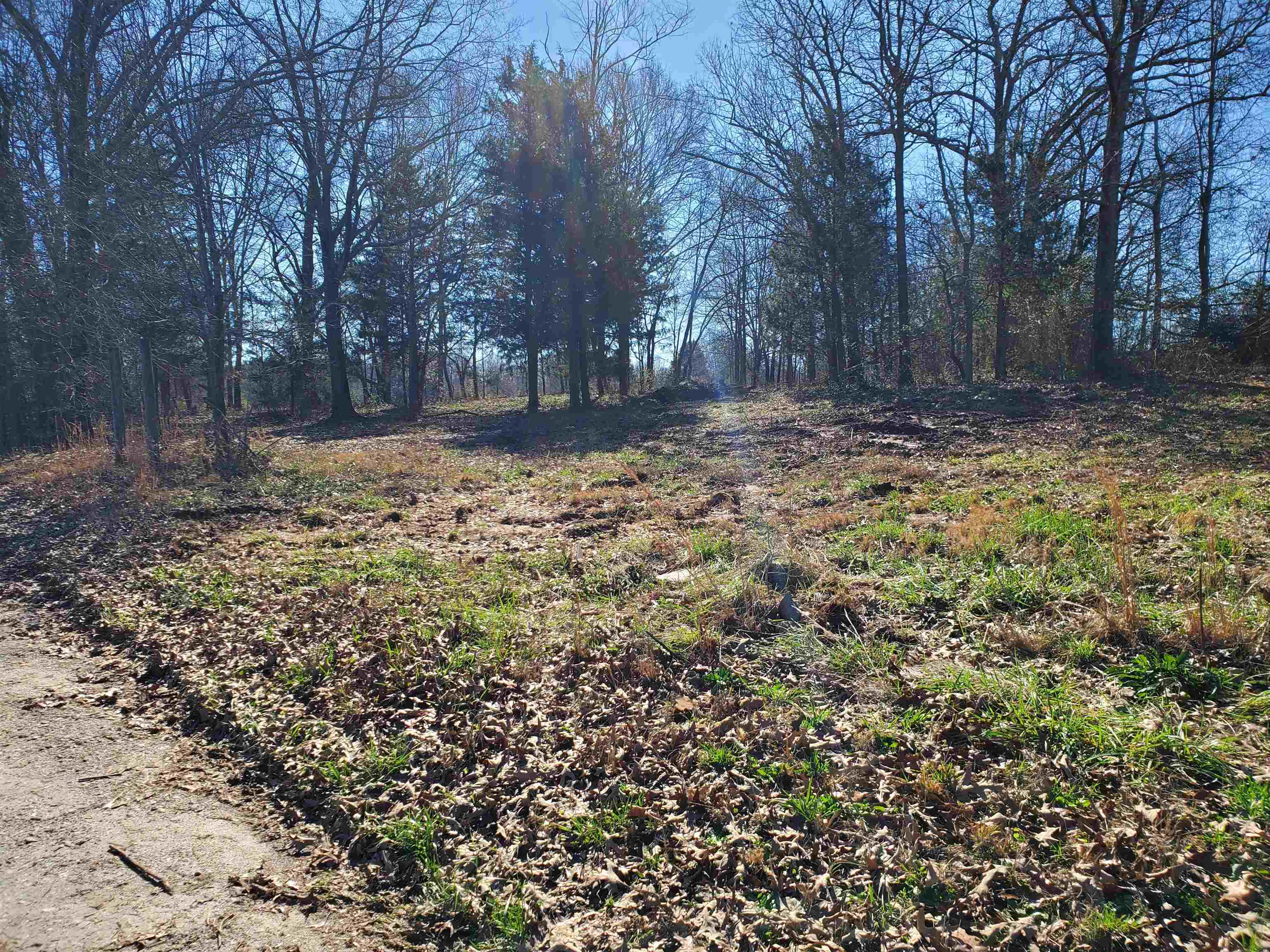 Lot 2 Ritchie Road Fountain Inn, SC 29644 - Photo 19 of 30