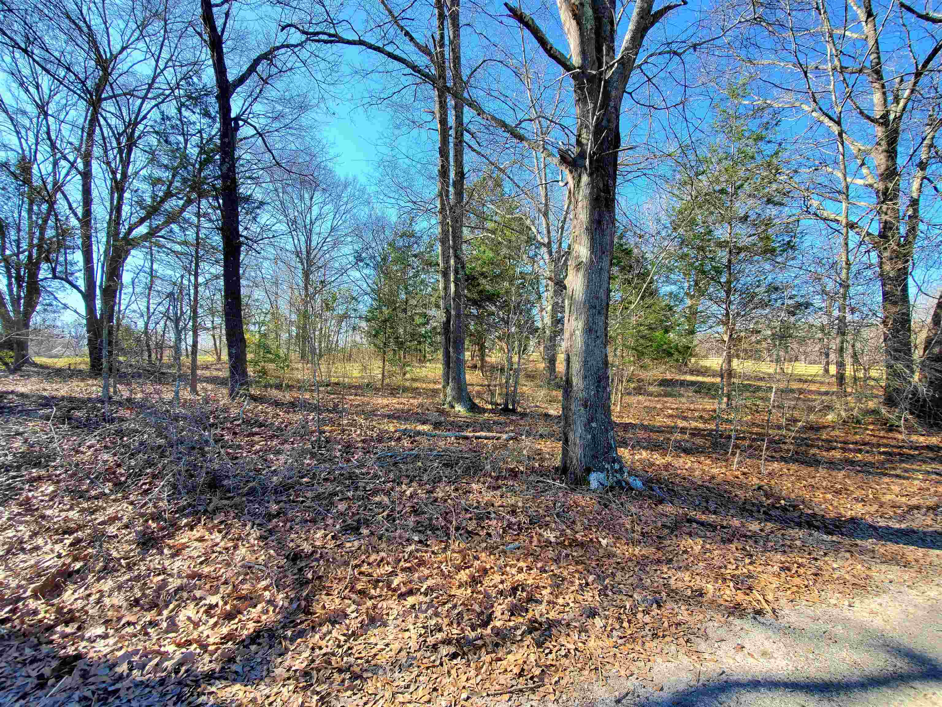 Lot 2 Ritchie Road Fountain Inn, SC 29644 - Photo 24 of 30