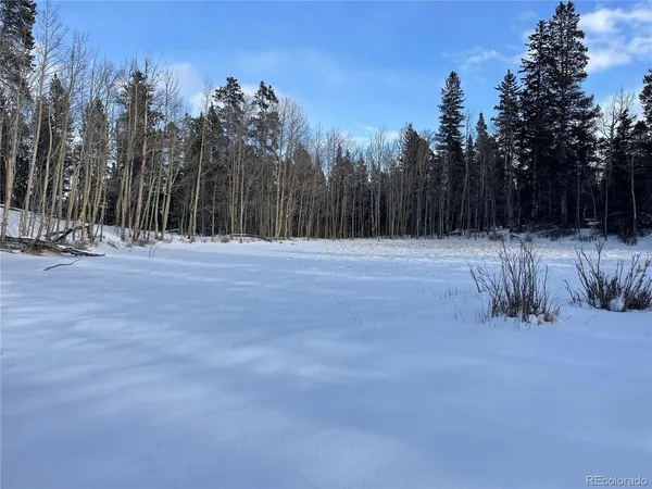 $99,000 | 30 Serenity Court, Fairplay, CO 80440