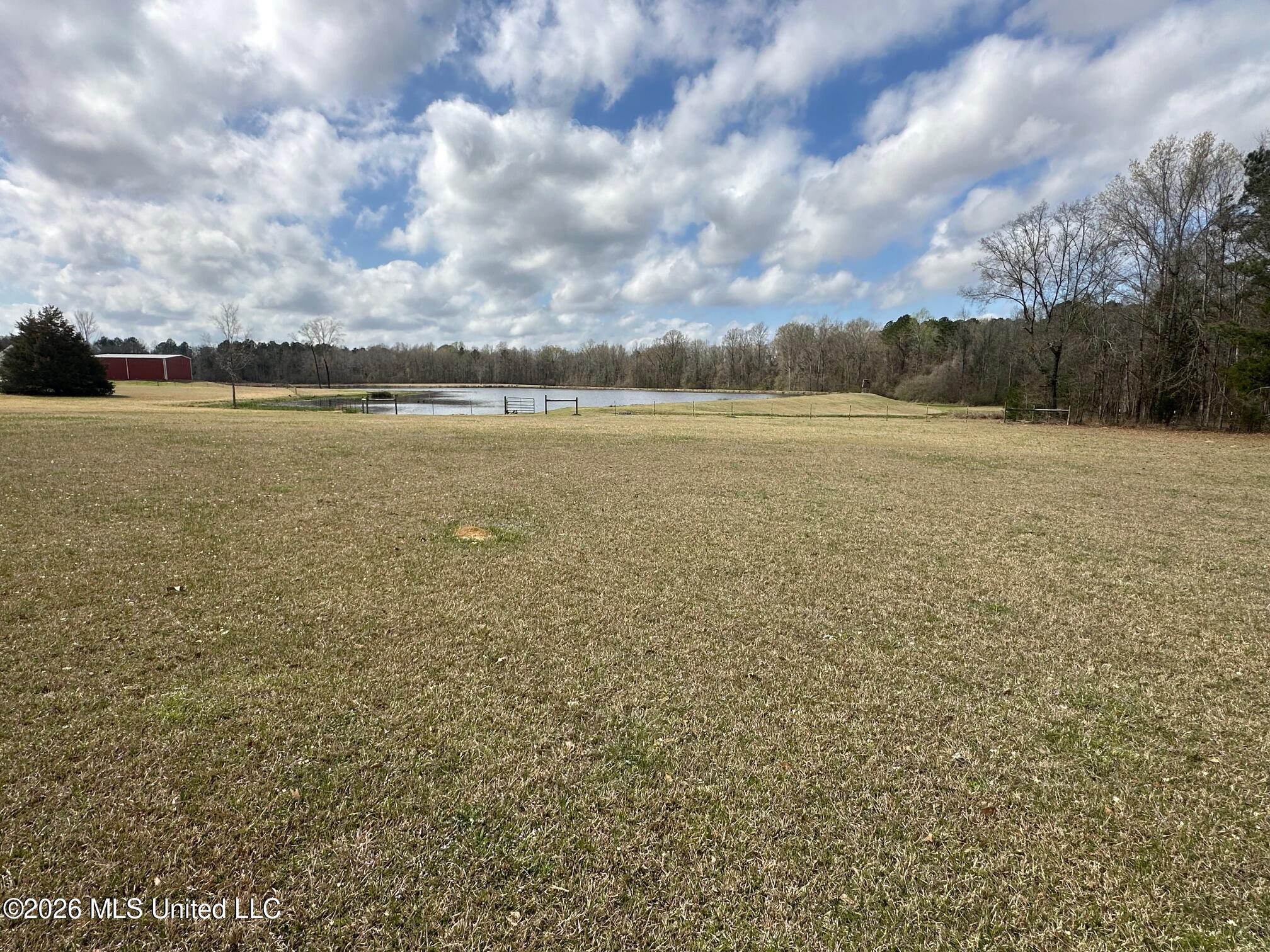 12.5-acres Barnes Road Florence, MS 39073 - Photo 4 of 7 IMG_3834