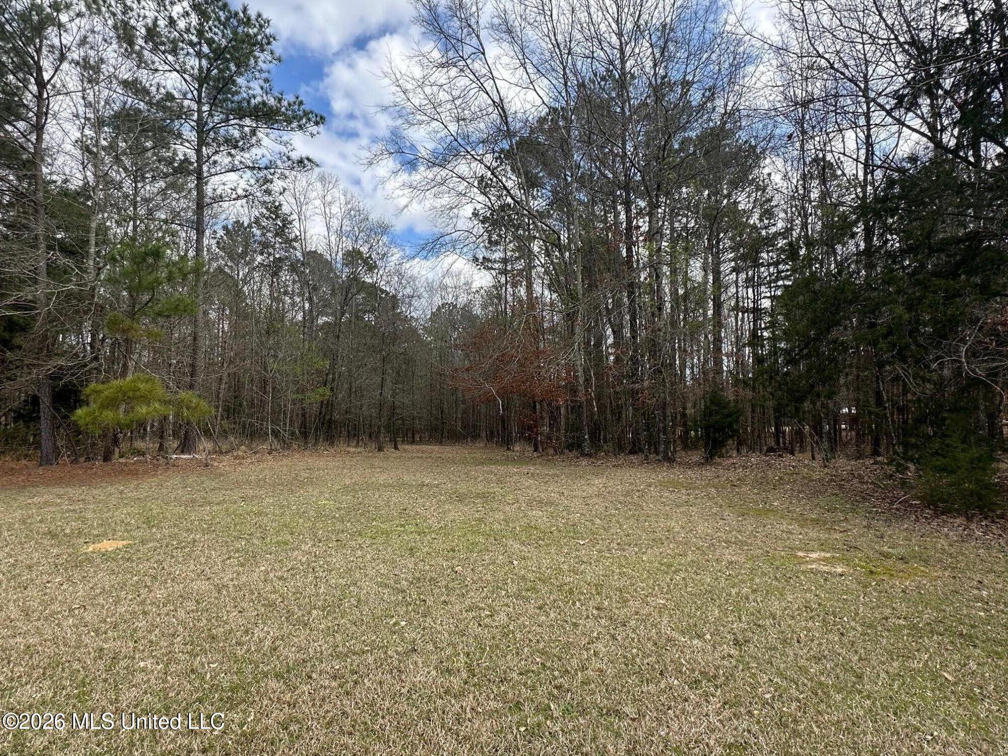 12.5-acres Barnes Road Florence, MS 39073 - Photo 5 of 7 IMG_3835