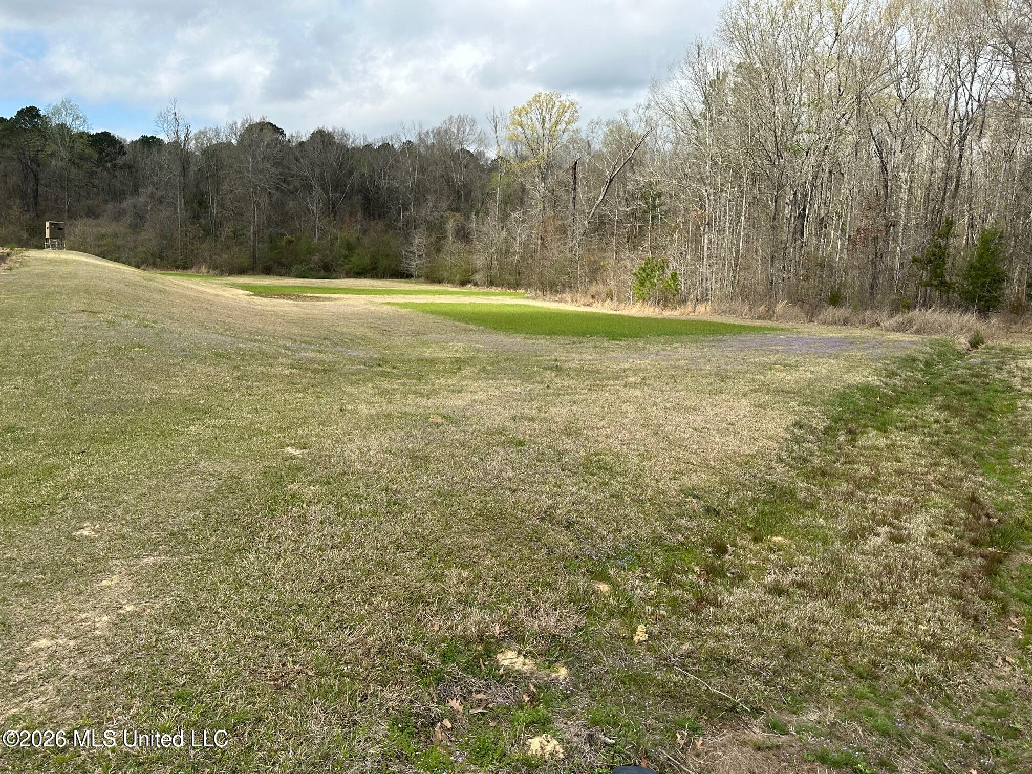12.5-acres Barnes Road Florence, MS 39073 - Photo 7 of 7 IMG_3830