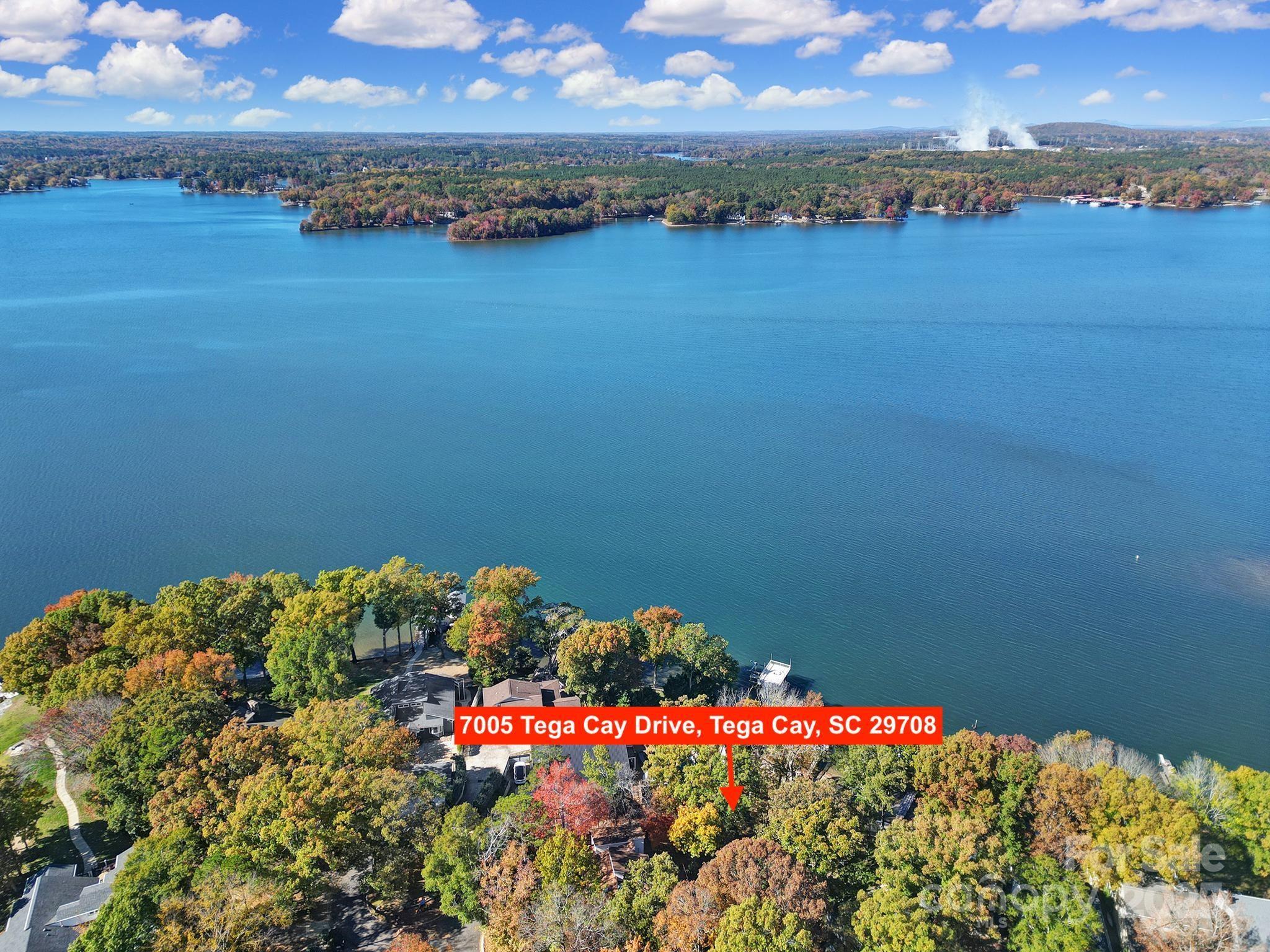 a view of a lake in middle of forest