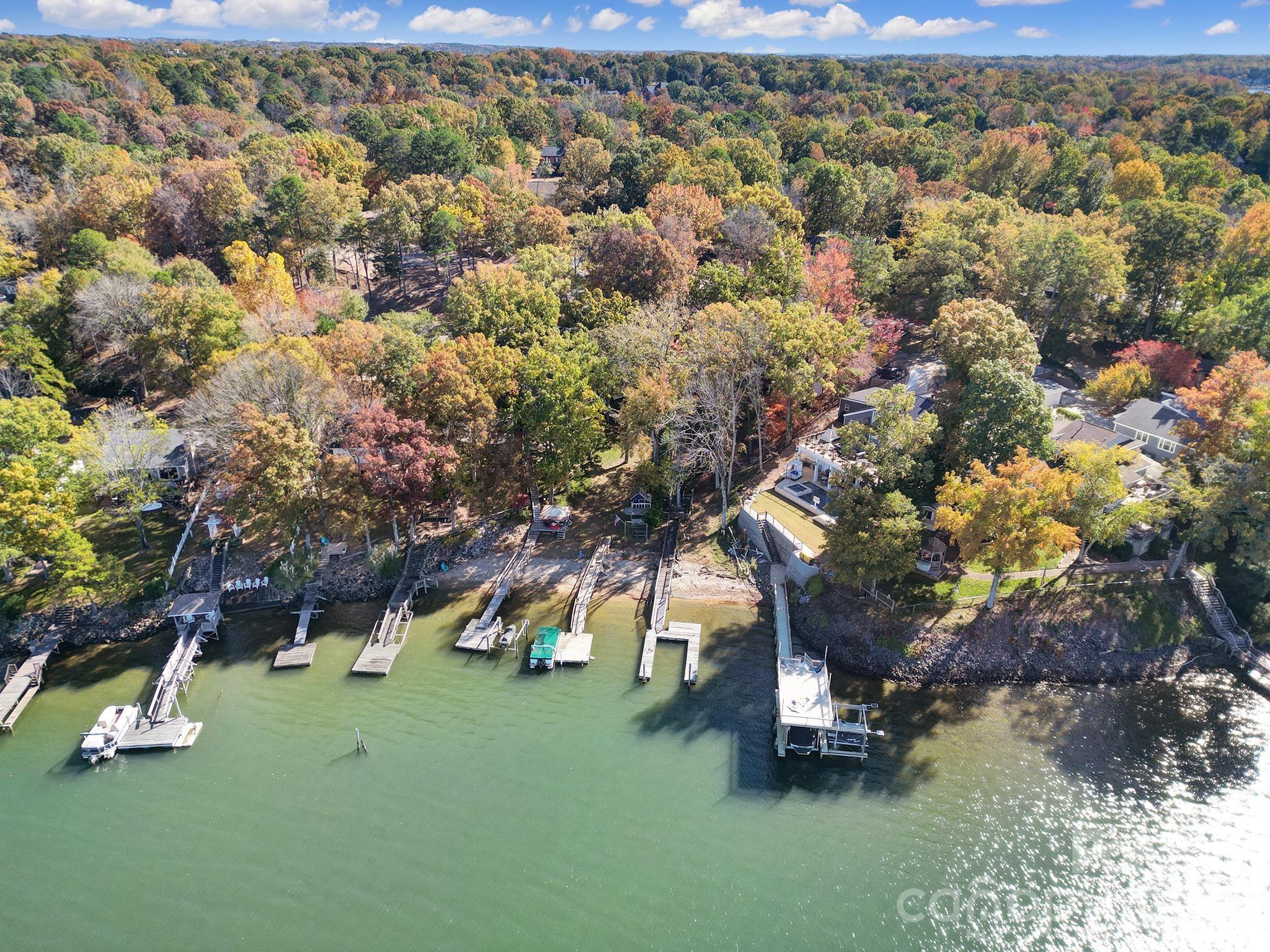 7005 Tega Cay Drive Tega Cay, SC 29708 - Photo 3 of 48 a small garden covered with tall trees