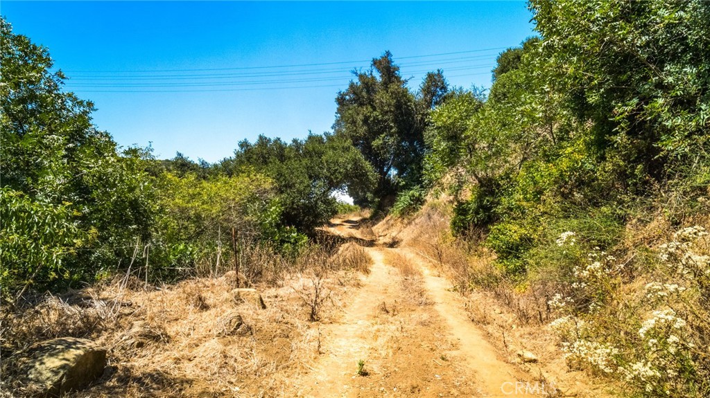 7099 Carbon Canyon Road Brea, CA 92823 - Photo 13 of 17 a view of tree