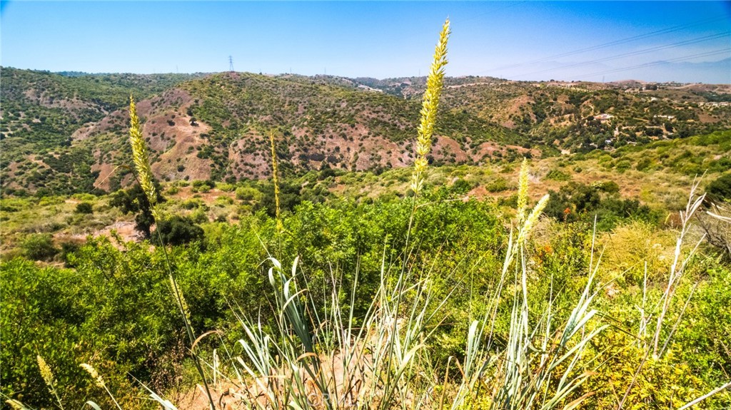 7099 Carbon Canyon Road Brea, CA 92823 - Photo 7 of 17 a view of a city with a building in the background