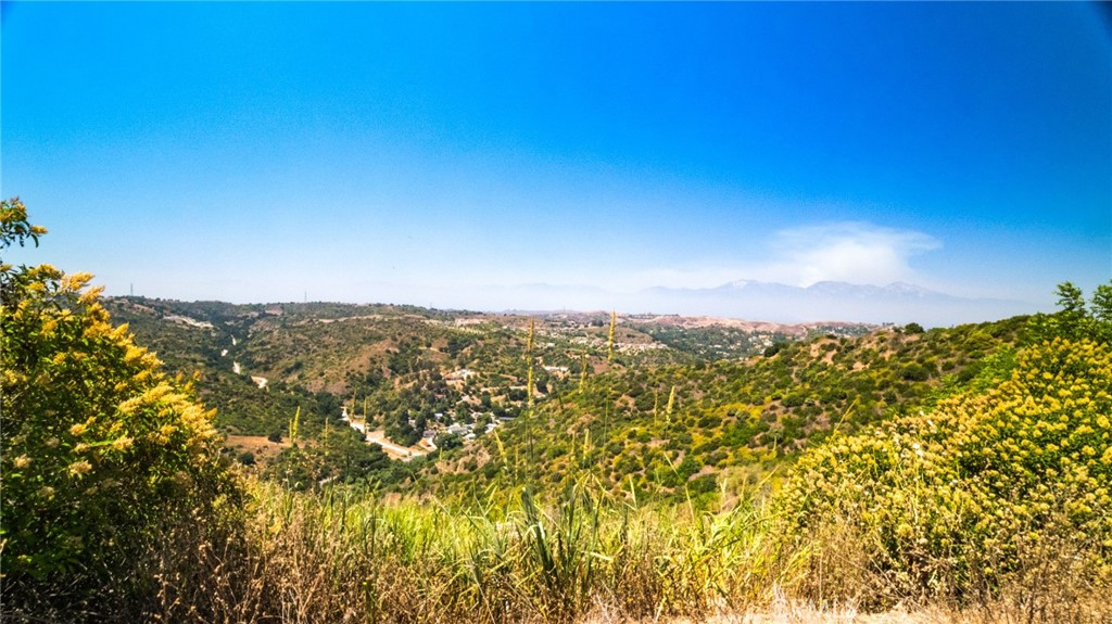 7099 Carbon Canyon Road Brea, CA 92823 - Photo 8 of 17 a view of a large window