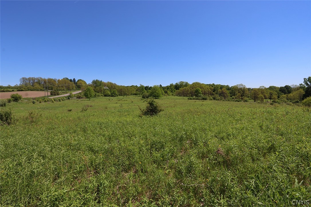 1580 Dave Hull Road Spafford, NY 13152 - Photo 10 of 14