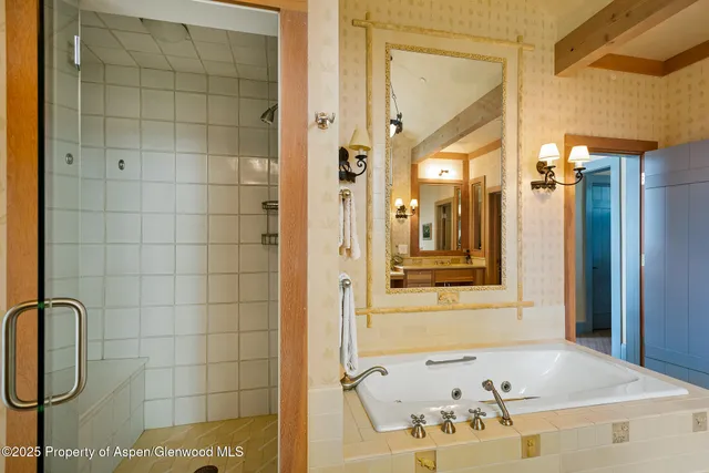 a bathroom with a bathtub and a shower