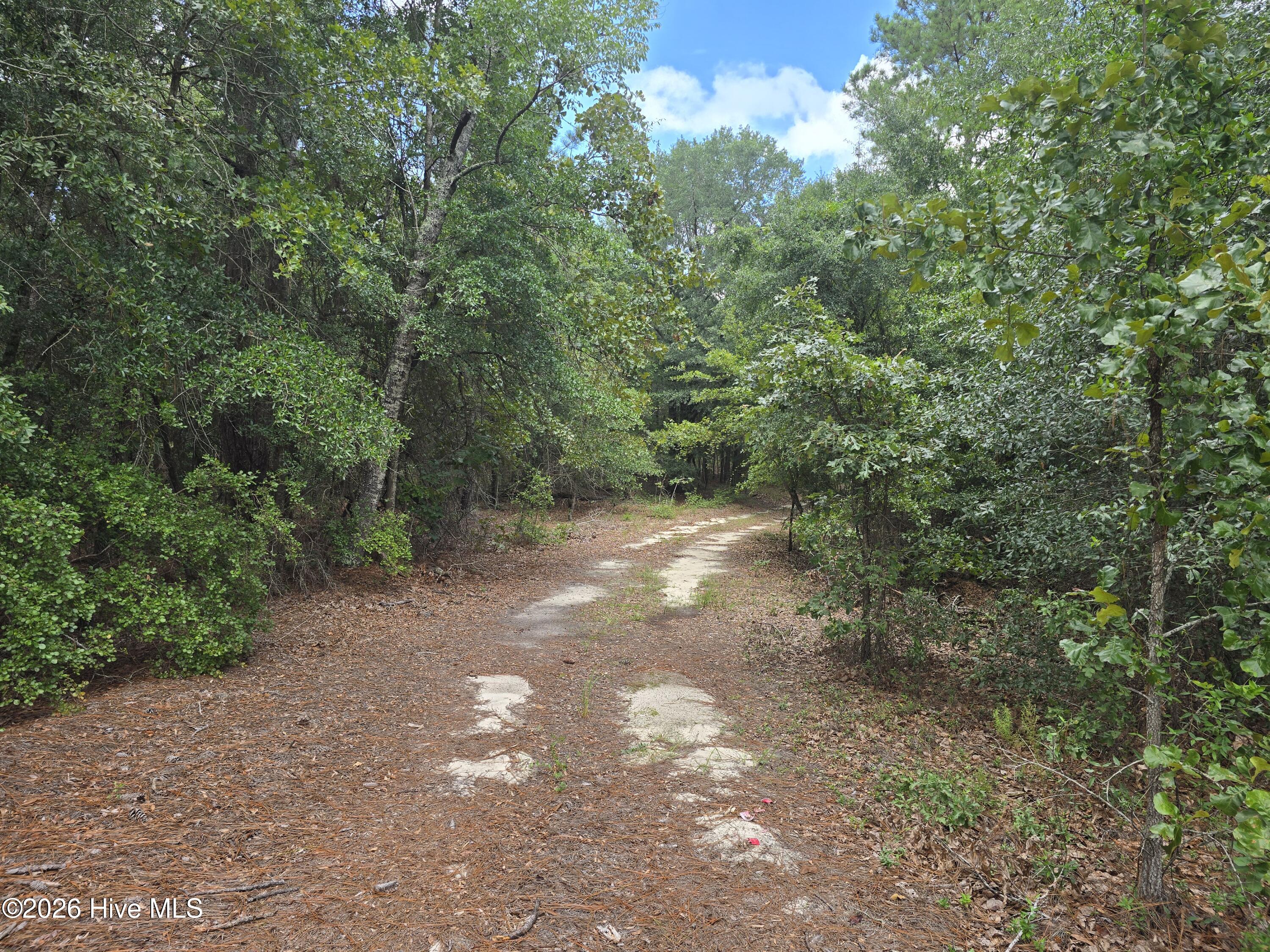 317 R J Johnson Road Martin, SC 29836 - Photo 5 of 8