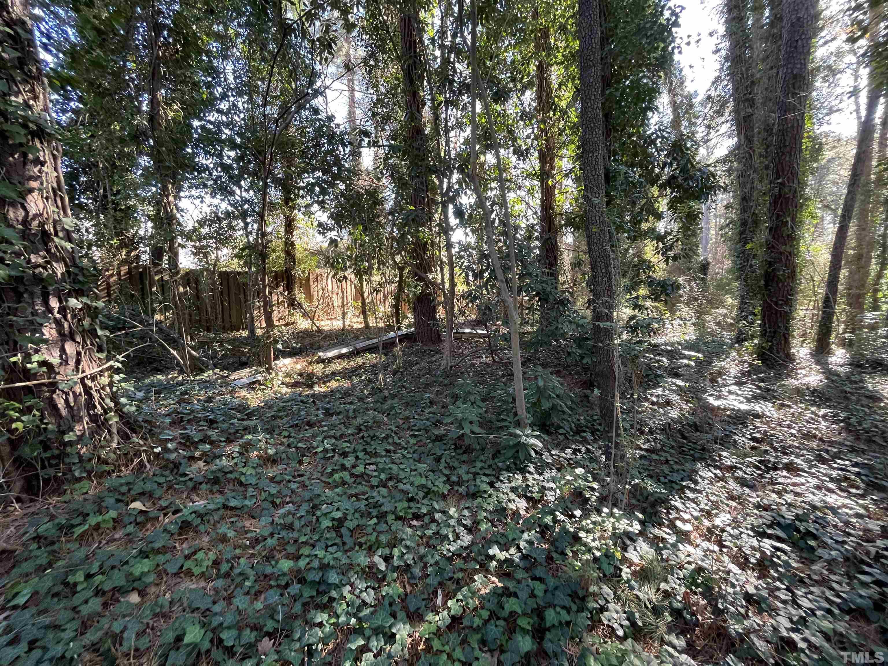 1209 Chaney Road Raleigh, NC 27606 - Photo 3 of 13 a view of outdoor space and green space