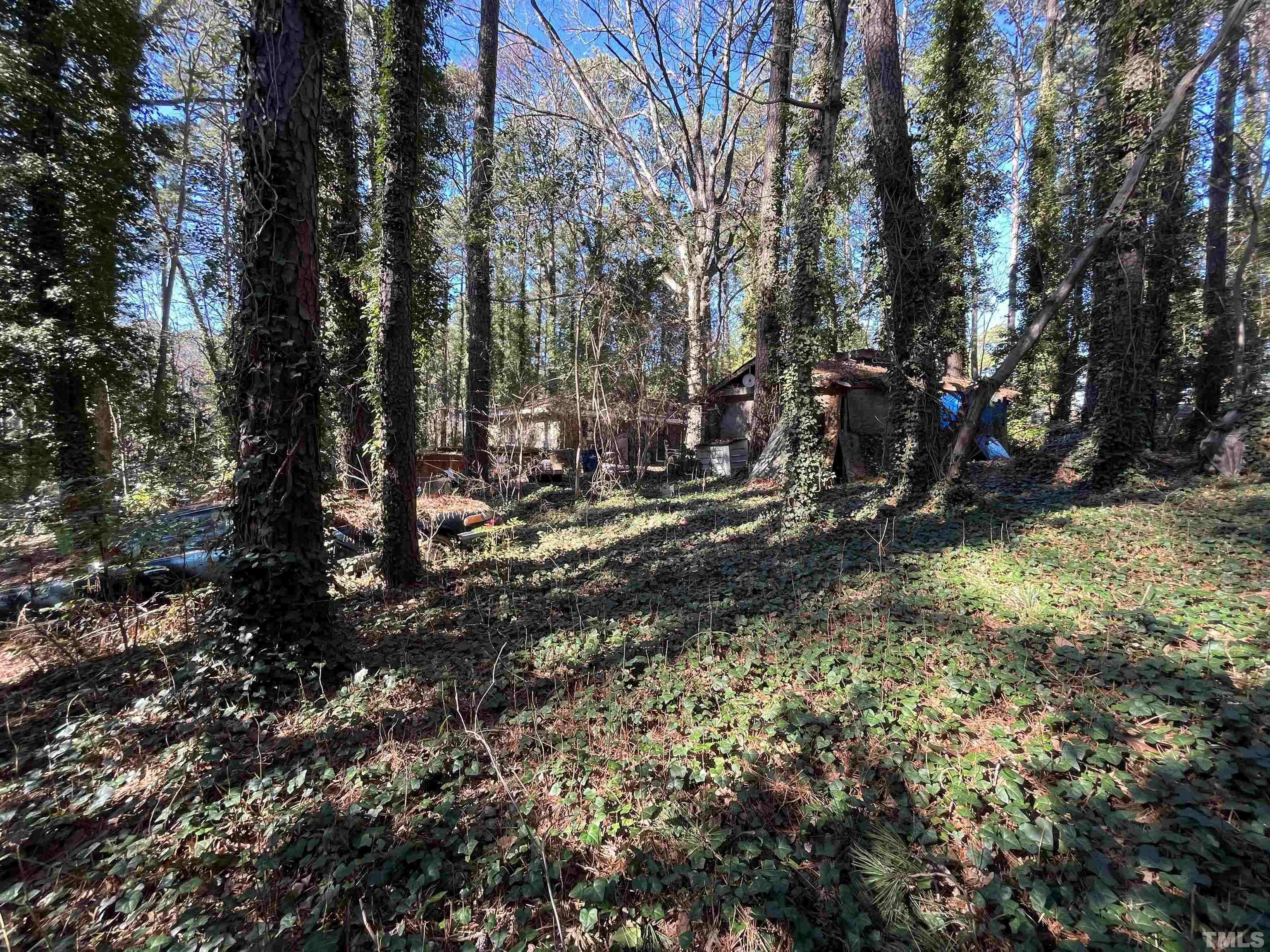 1209 Chaney Road Raleigh, NC 27606 - Photo 5 of 13 a view of outdoor space and yard