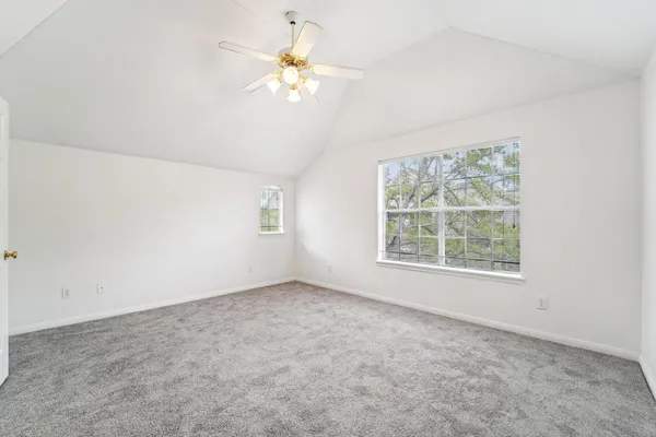 a view of a backyard with a large tree