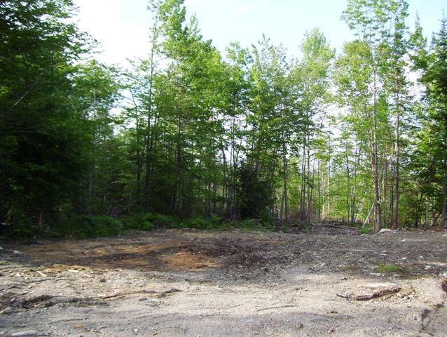 Lot 17 Transalpine Road Lincoln, ME 04457 - Photo 1 of 3 Photo