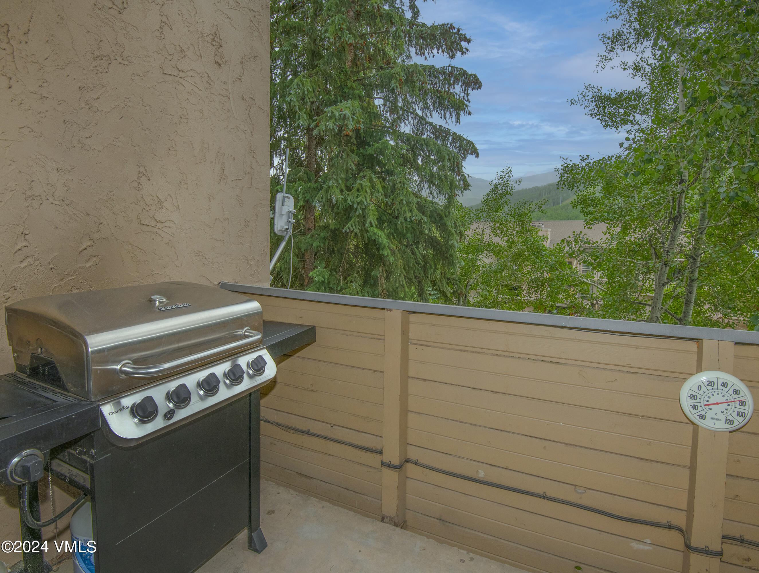 1081 Vail View Drive, Unit B208 Vail, CO 81657 - Photo 16 of 22 a view of a fireplace with plants