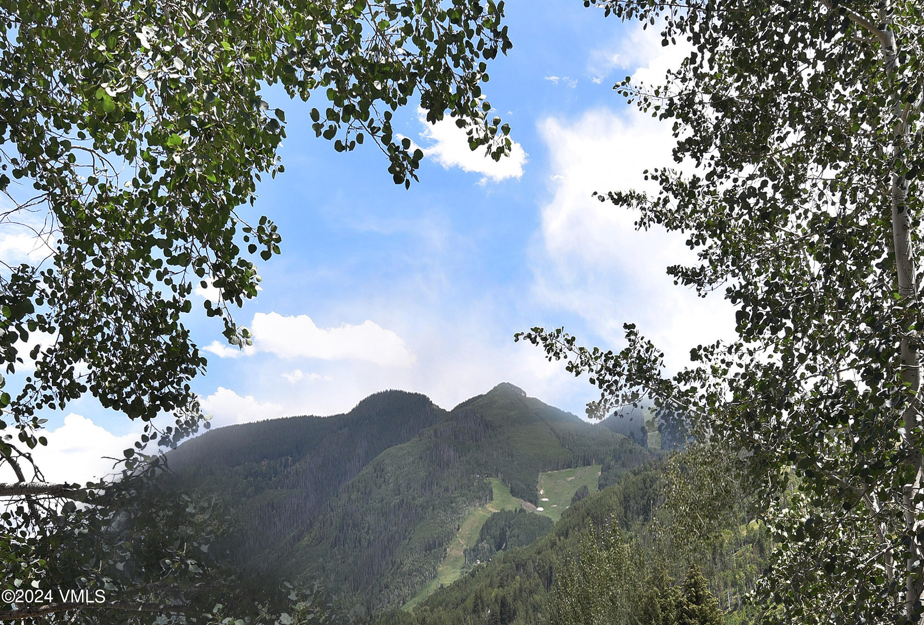 1081 Vail View Drive, Unit B208 Vail, CO 81657 - Photo 17 of 22 a view of a tree in a field