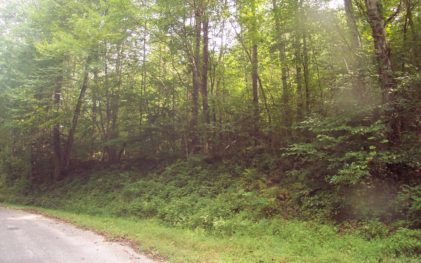 0 Cliff Raper Road Murphy, NC 28906 - Photo 2 of 4 Additional View