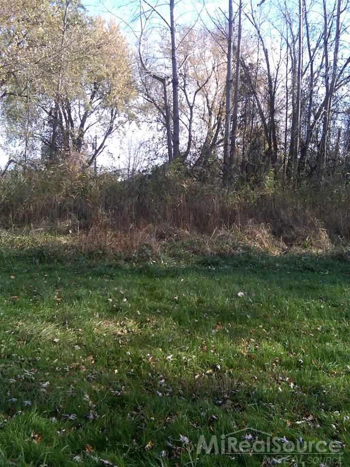 0 Father Street Harrison Township, MI 48045 - Photo 2 of 5