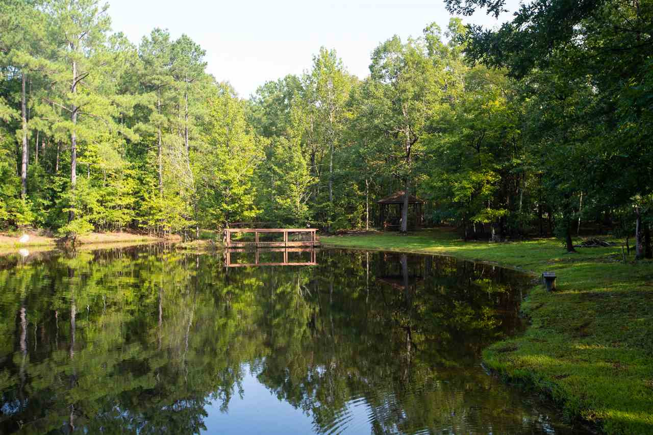 8214 Johnson Mill Road Bahama, NC 27503 - Photo 23 of 30 Private Lake on Property
