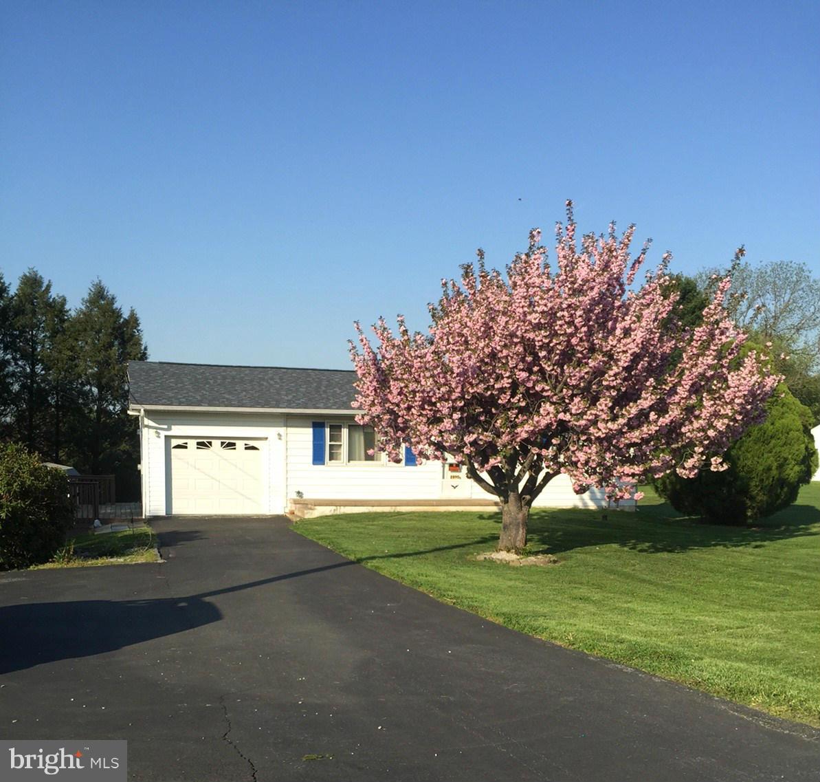 2890 Singerly Road Elkton, MD 21921 - Photo 2 of 28 a front view of a house with a yard