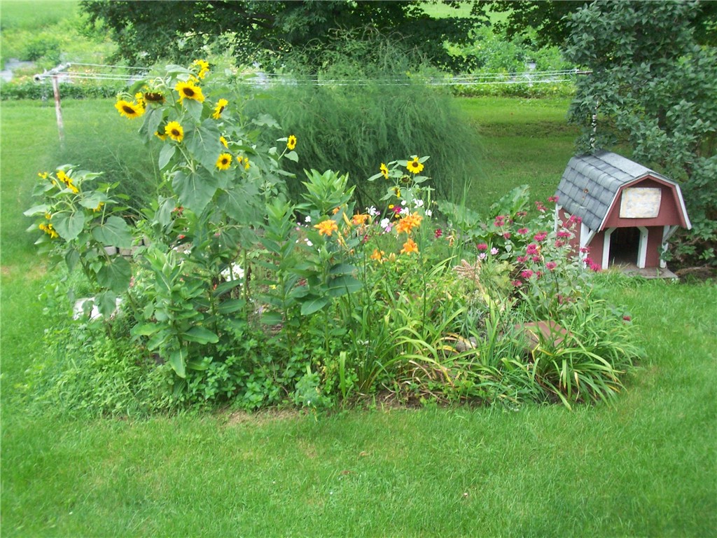 934 County Road 7 Manchester, NY 14432 - Photo 8 of 26