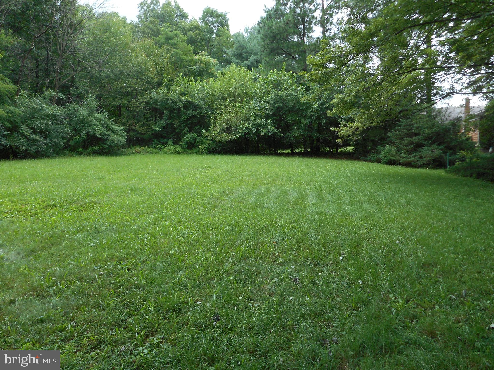 456 Ritter Road White Post, VA 22663 - Photo 4 of 17 large private back yard