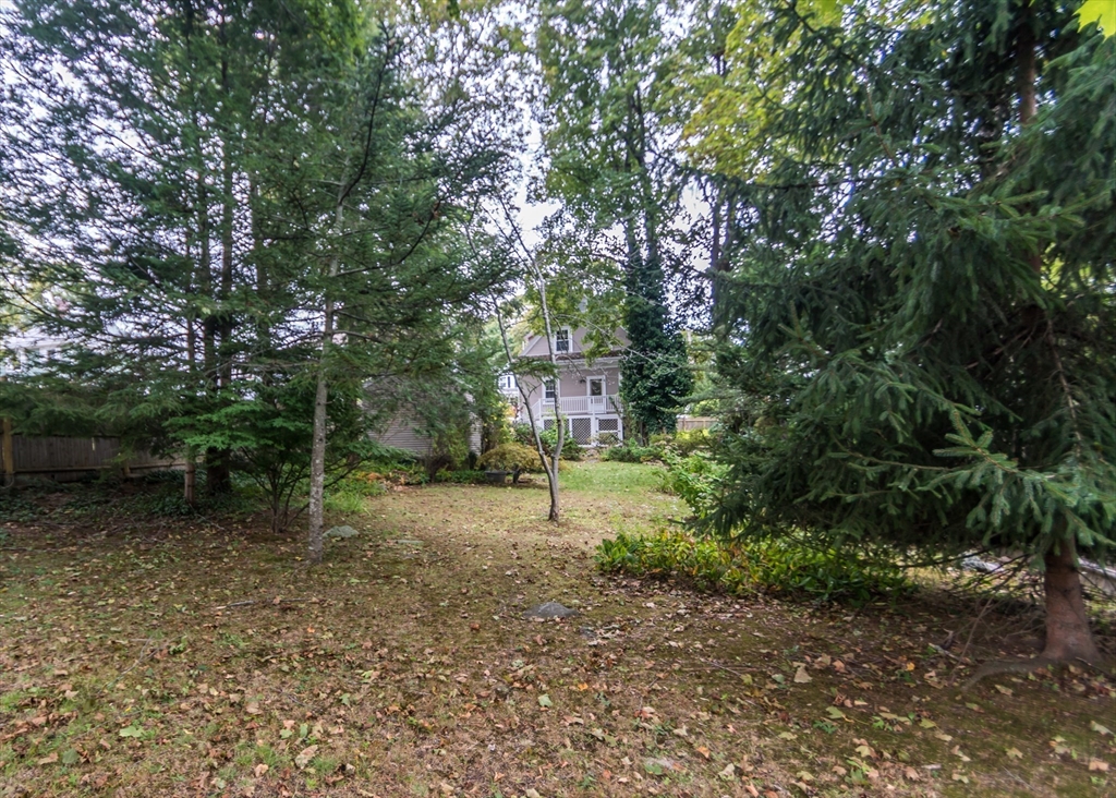 37 Summit Street Waltham, MA 02451 - Photo 29 of 29 a green field with trees in the background