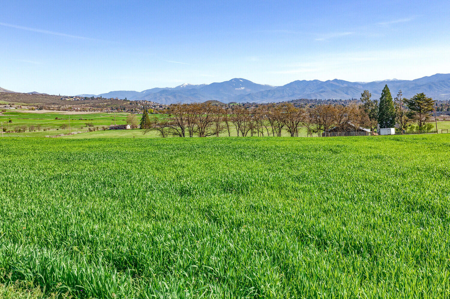 2255 Coker Butte Road Medford, OR 97504 - Photo 90 of 102 123_CBR_123_mls