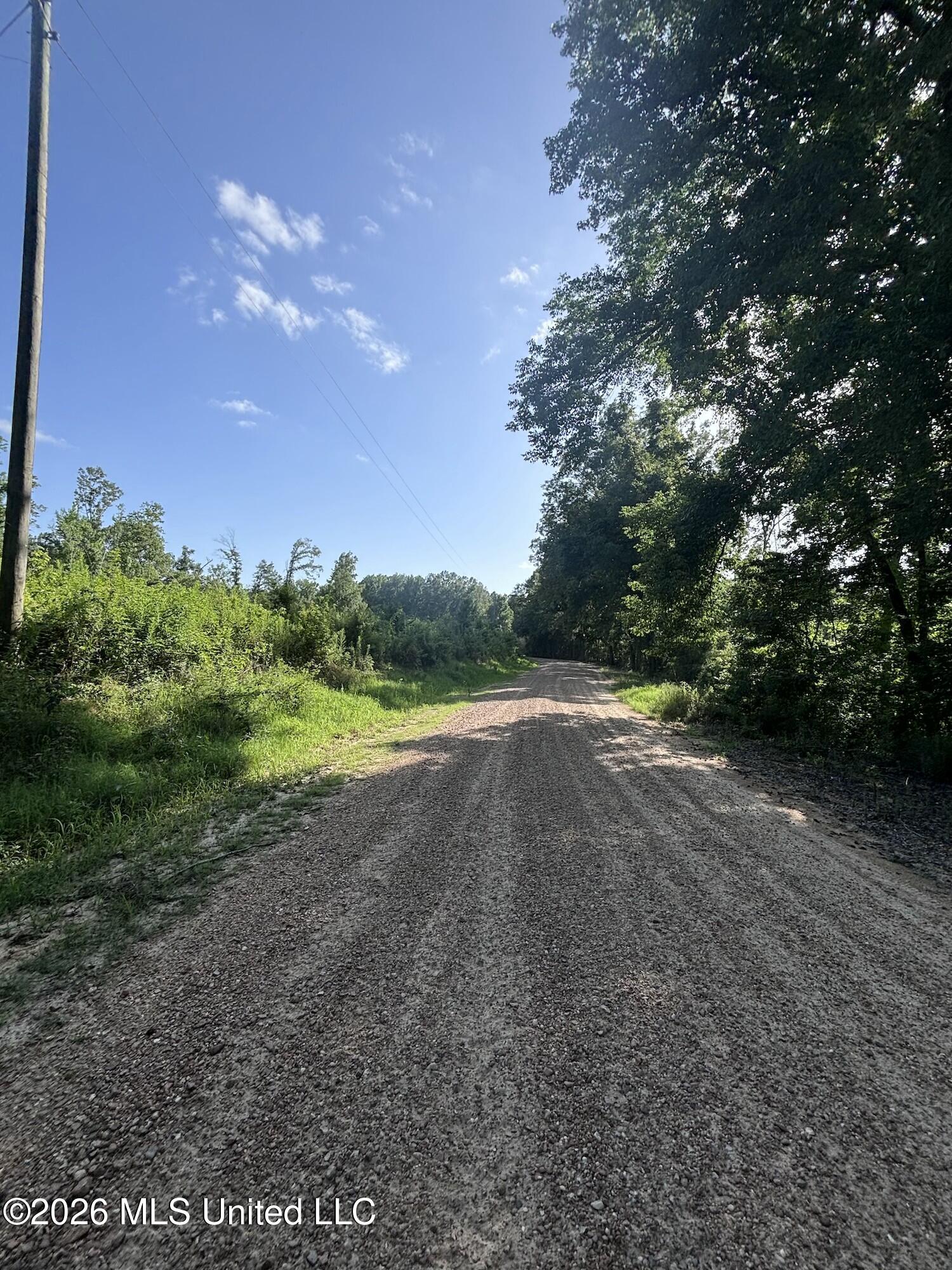 Stevens Road Yazoo City, MS 39194 - Photo 20 of 22 IMG_1284