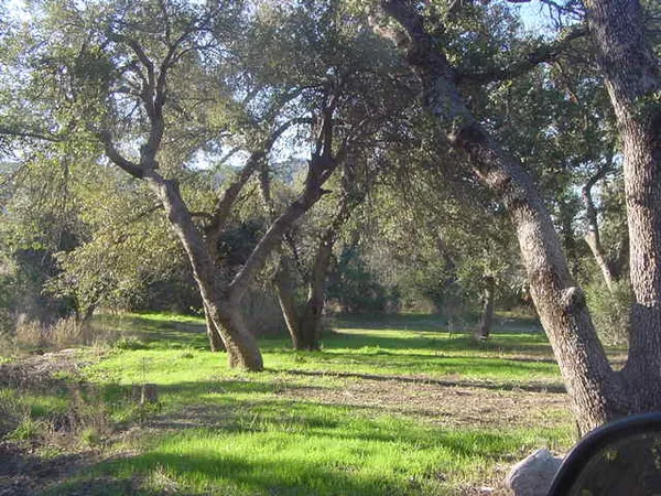 a view of a golf course
