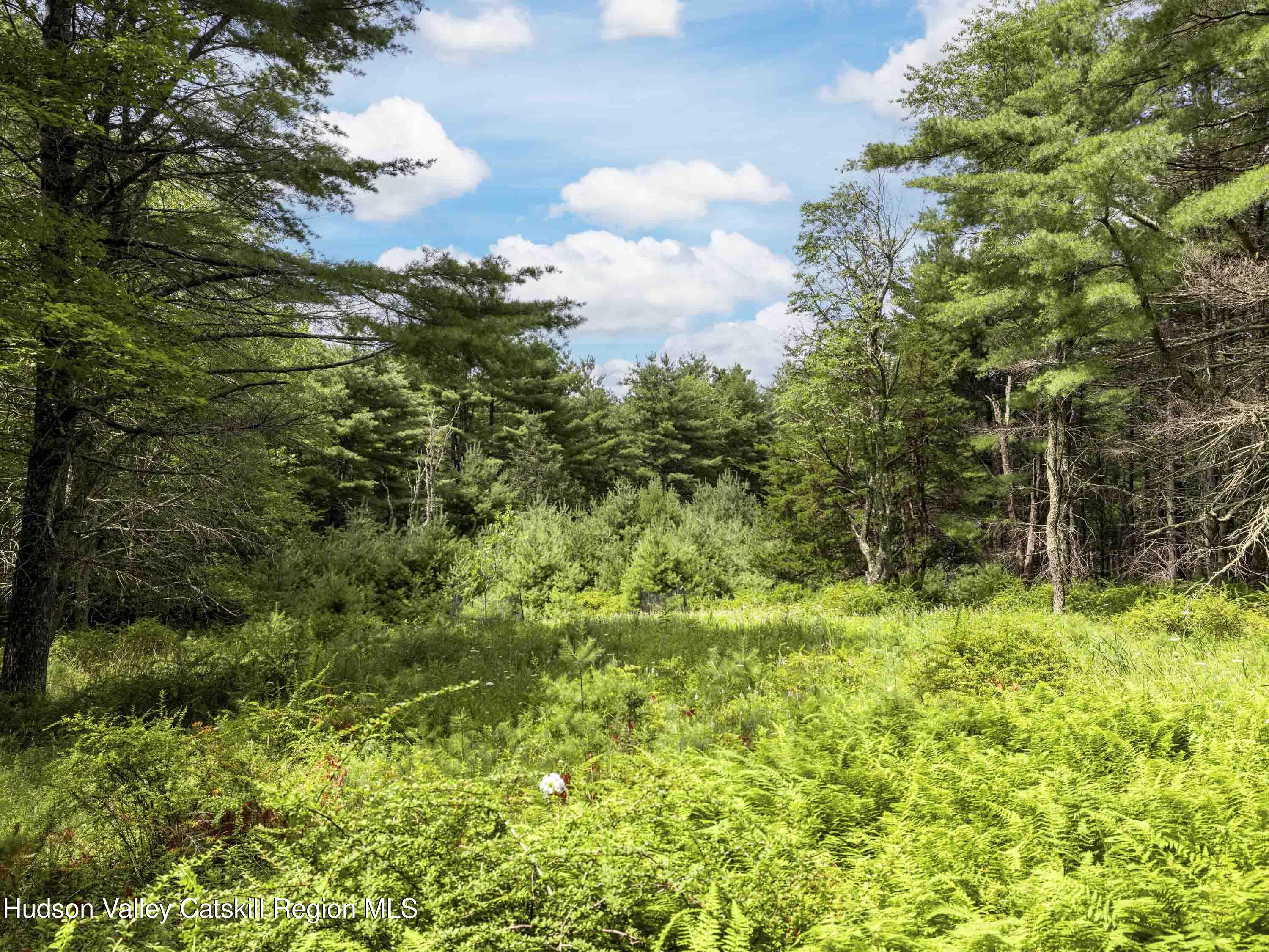 154 Lang Road Accord, NY 12404 - Photo 1 of 40 Lang Road Accord NY 12404 - 07