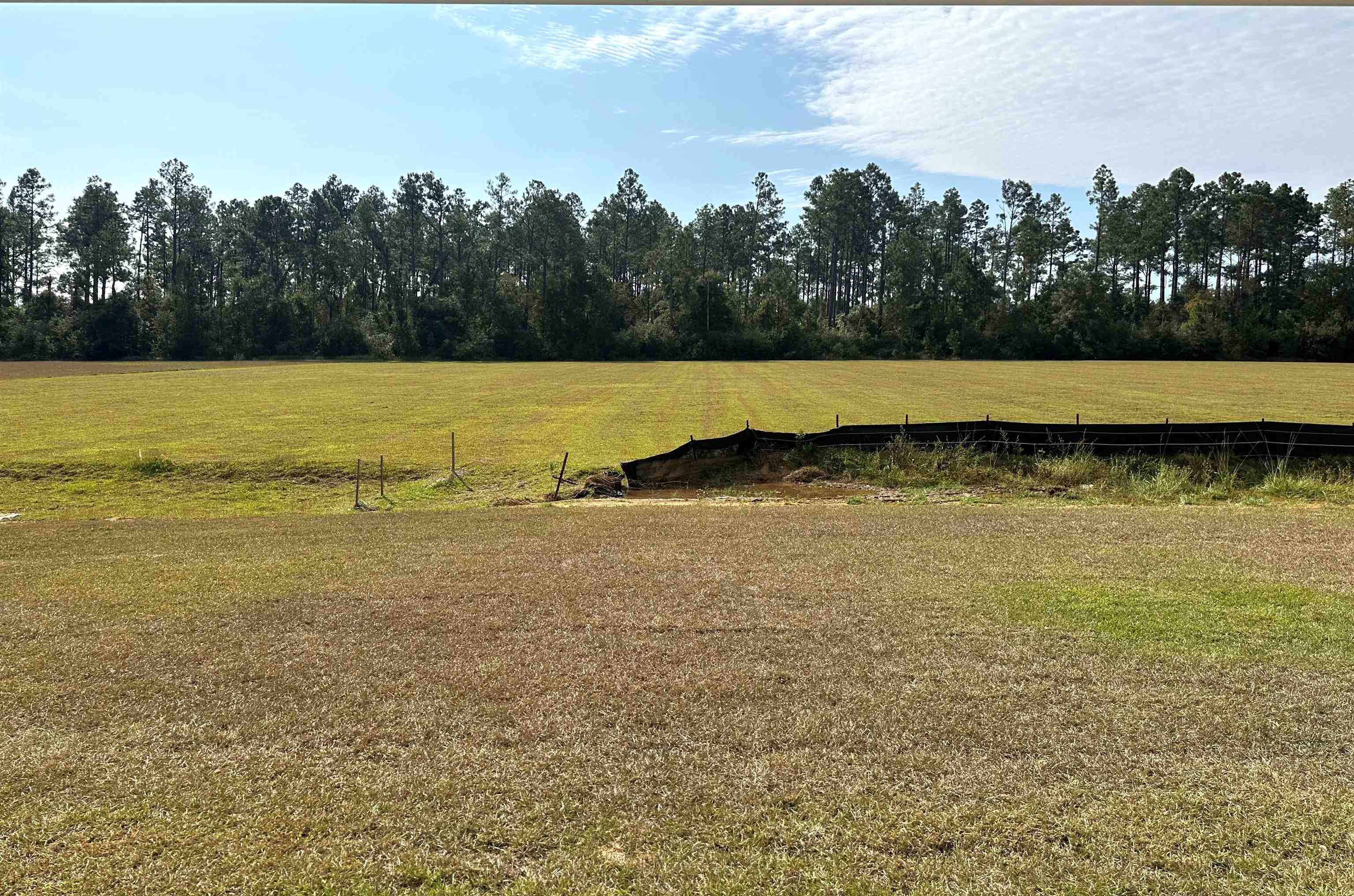 1227 Hayward Loop Foley, AL 36535 - Photo 4 of 29 View of backyard from porch