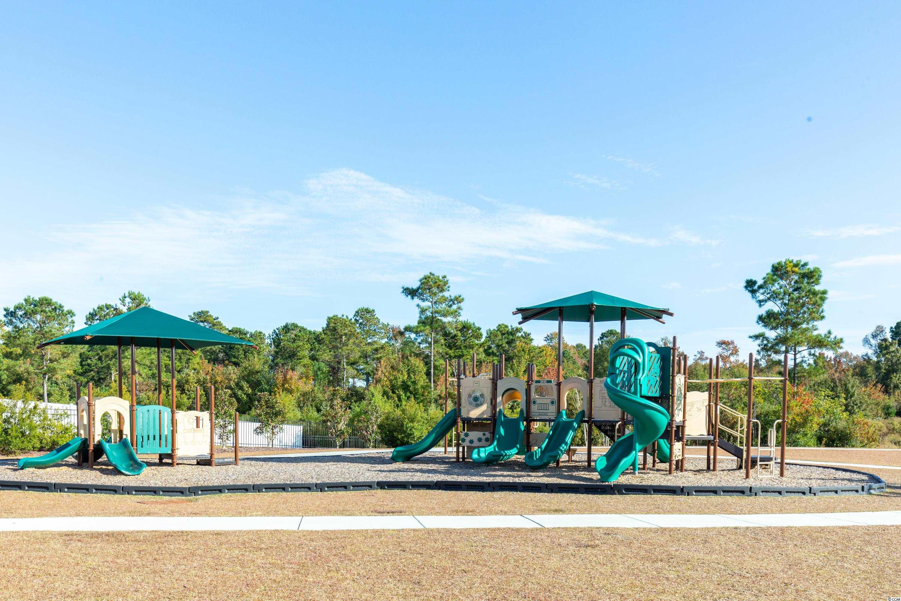 10016 Hamilton Branch Loop Myrtle Beach, SC 29579 - Photo 34 of 36 Gallery Image 34