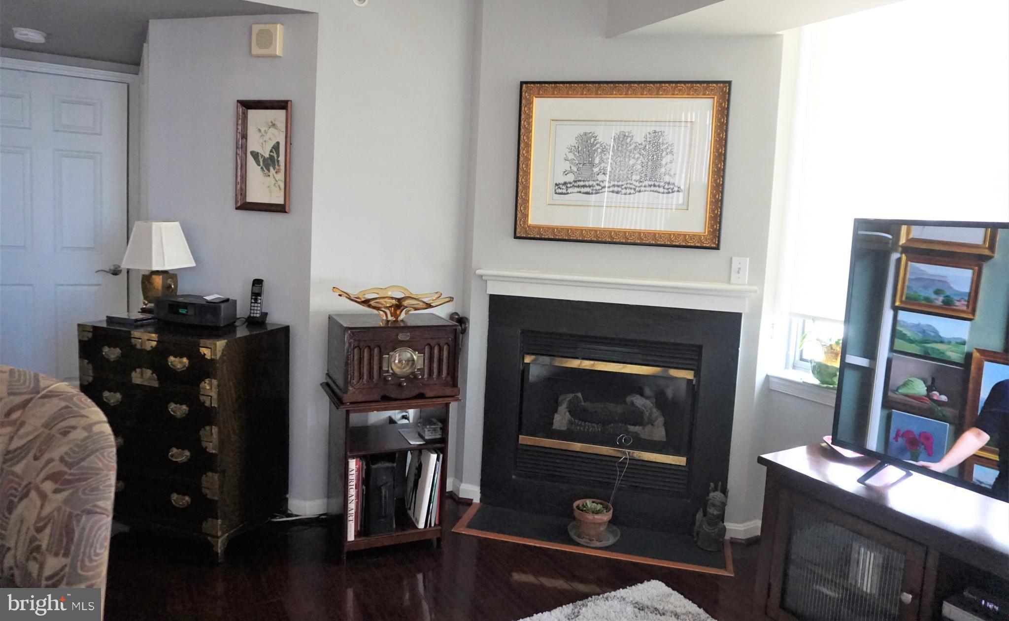 11710 Old Georgetown Road, Unit 630 North Bethesda, MD 20852 - Photo 8 of 30 Fireplace