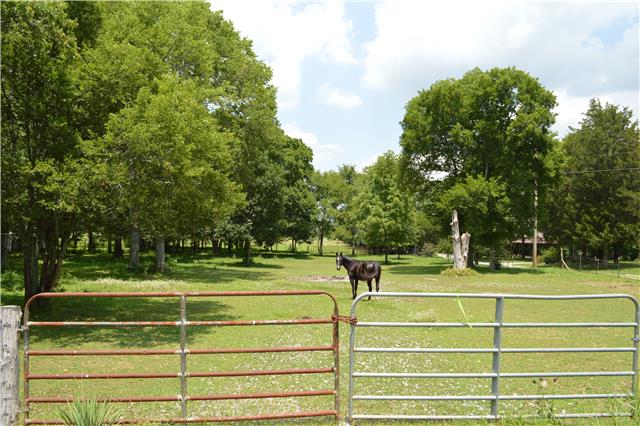 1723 Mires Road Mount Juliet, TN 37122 - Photo 1 of 2 Beautiful setting for your new home.