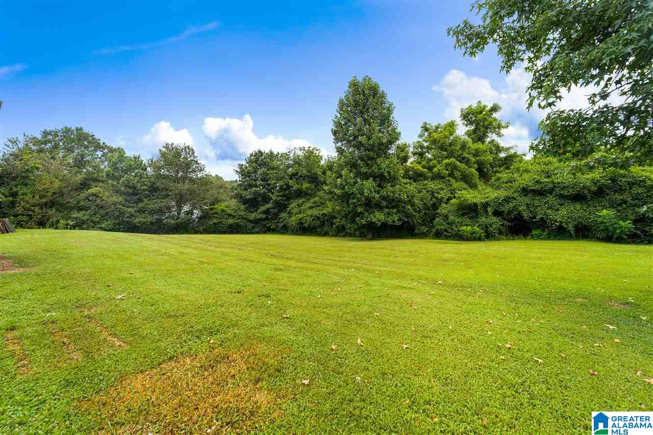 373 County Road 24 Springville, AL 35146 - Photo 34 of 43