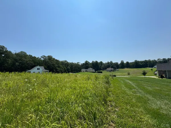 a view of a field with a tree