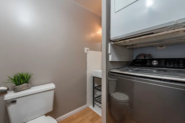 a bathroom with a toilet and a potted plant