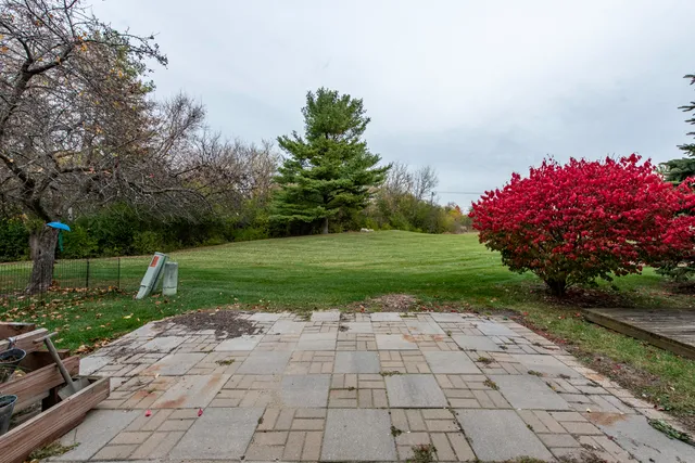 a view of a park with plants and trees