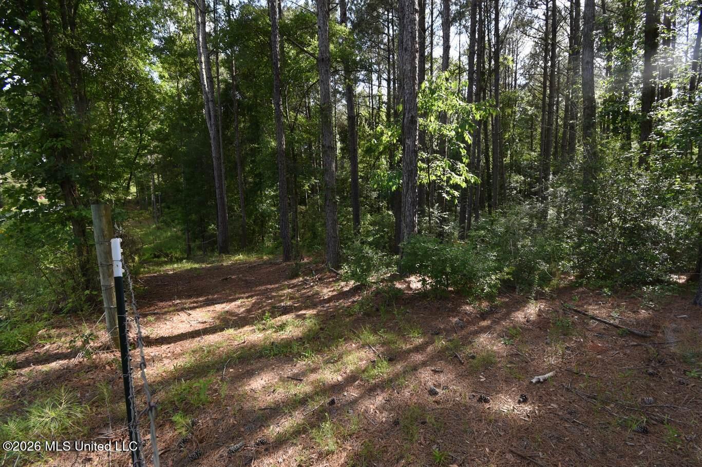 0 Miller Road Olive Branch, MS 38654 - Photo 6 of 26 5-14-2025-11-41-58-AM