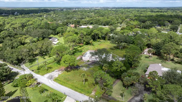 a view of a garden with a lake