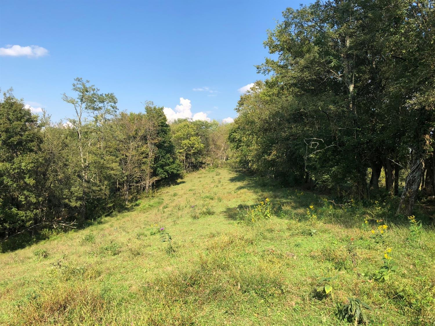 2000 Poosey Ridge Road Richmond, KY 40475 - Photo 22 of 51 Photo 28