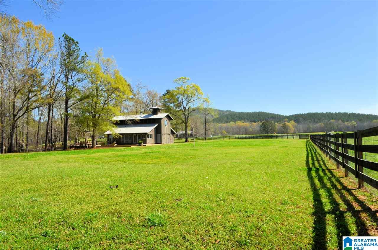 4683 Mcgowans Ferry Road Childersburg, AL 35044 - Photo 19 of 46