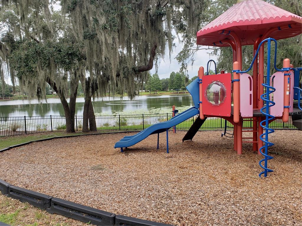 4715 Indian Deer Road Windermere, FL 34786 - Photo 43 of 56 Play Ground