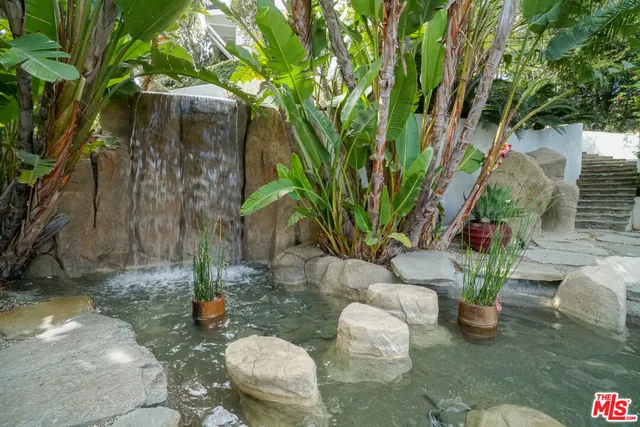 a view of a yard with plants