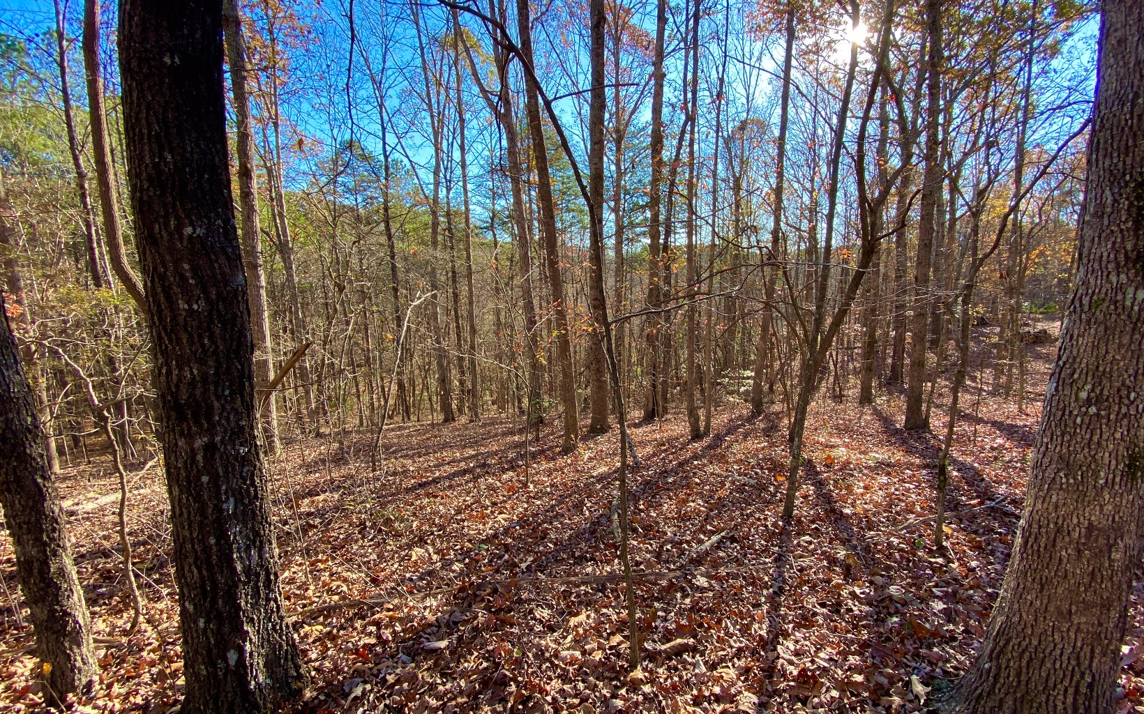 Additional View