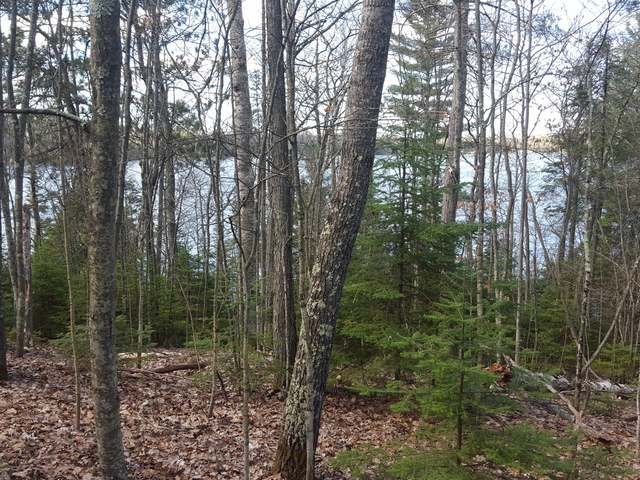 Lot 4 West Carpenter Lake Road Eagle River, WI 54521 - Photo 16 of 20 Gallery Image 16