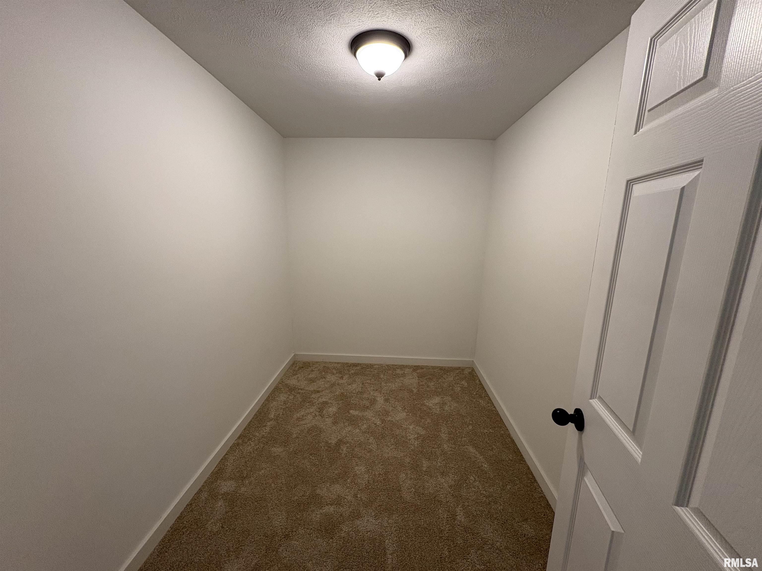 3305 Selmaville Road Salem, IL 62881 - Photo 8 of 17