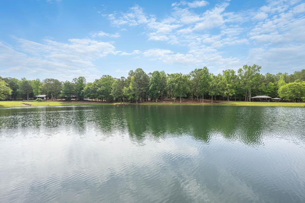 11045 Warm Springs Road Midland, GA 31820 - Photo 5 of 46